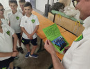 2026 06 12 pulcini  