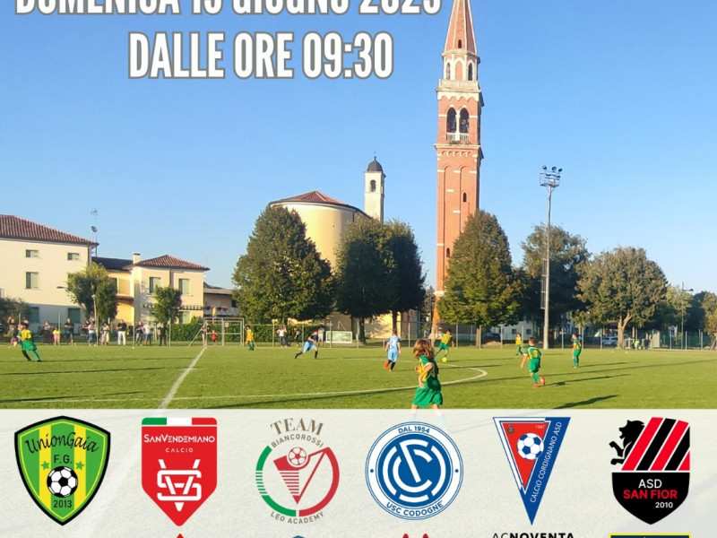 whatsapp image 2025 03 15 at.37.28