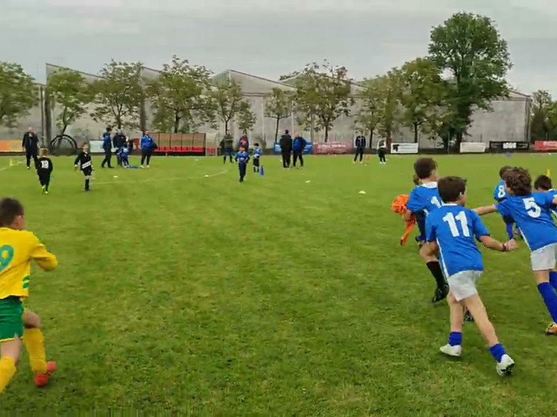 27 04 piccoli amici e primi