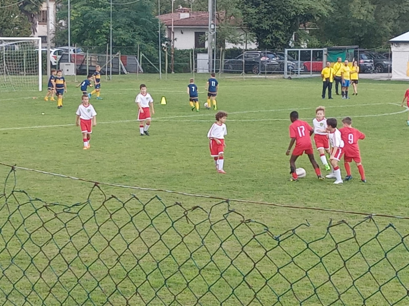 whatsapp image 2023 09 23 at.41.10