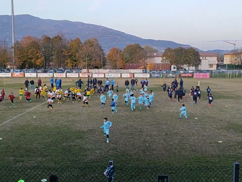 23 11 piccoli amici e primi