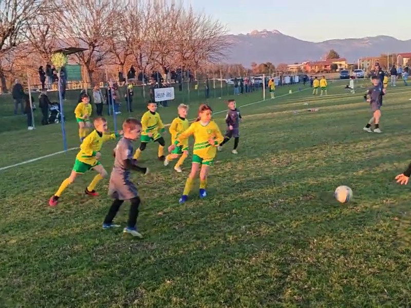 30 11 piccoli amici e primi