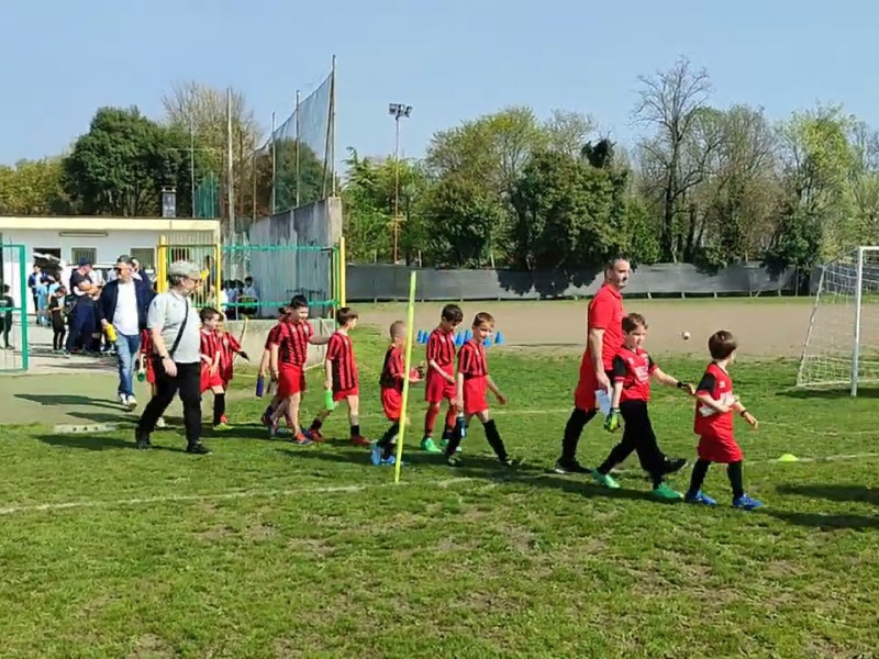 05 04 piccoli amici primi