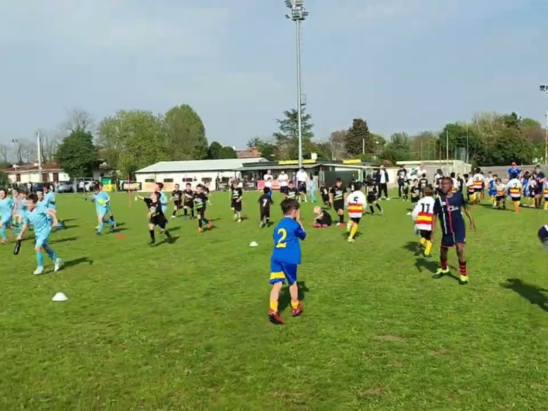 05 04 piccoli amici primi66