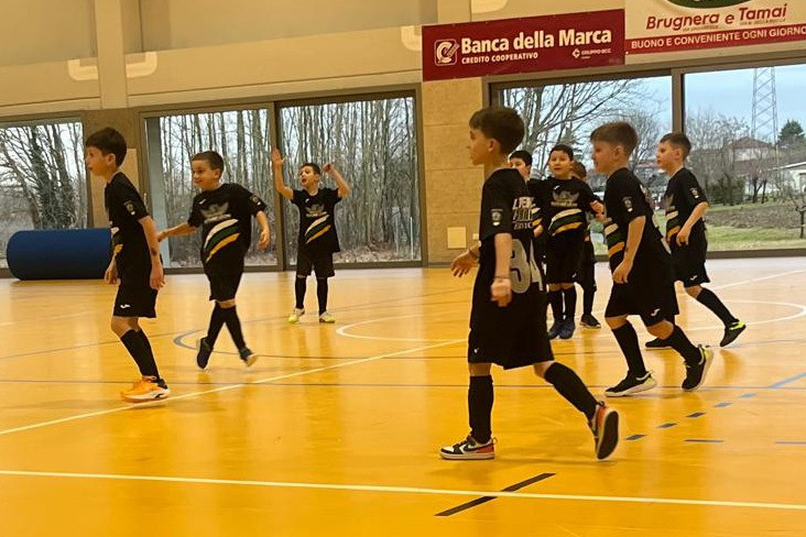 2026 01 24 papc uniongaia liapiave  