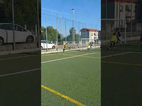 15 02 25 pulcini torre uniongaia