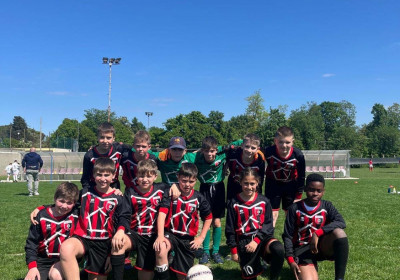 Giornata del Pulcino 2013