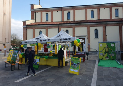 Primavera a Francenigo 06 Aprile 2025