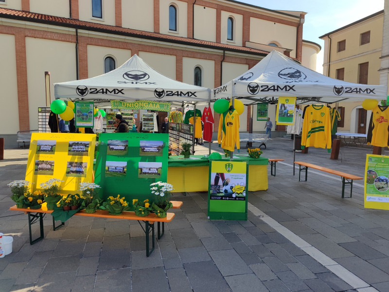 20250406 primaverafrancenigo  1